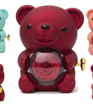 Cute Teddy With Surprise Ring